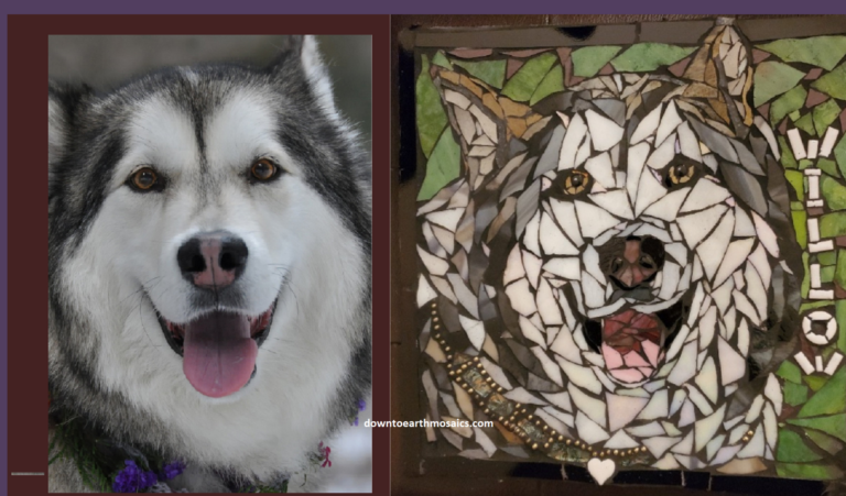 dogs