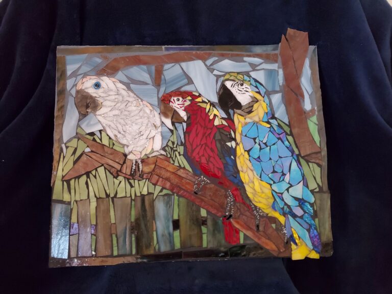 birds