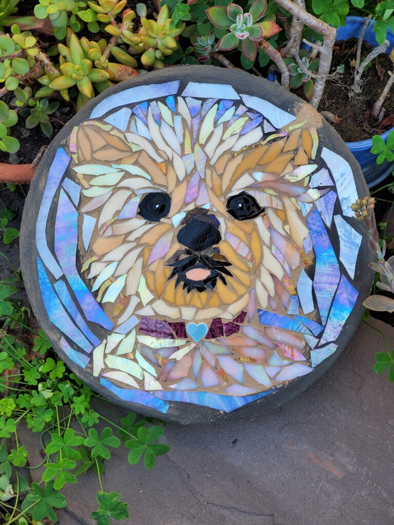 dogs