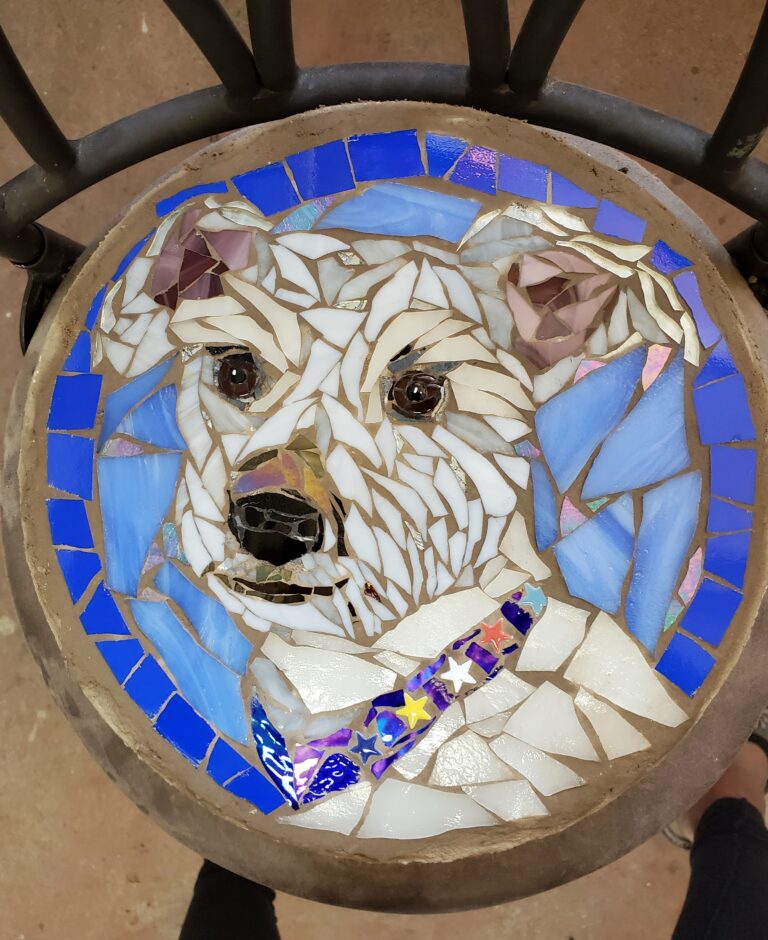 Dogs