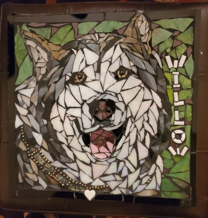 dogs