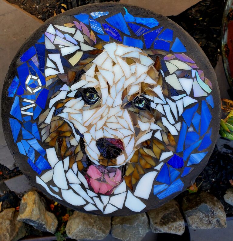 dogs