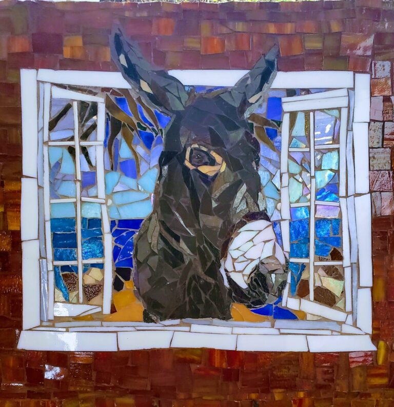 donkey
