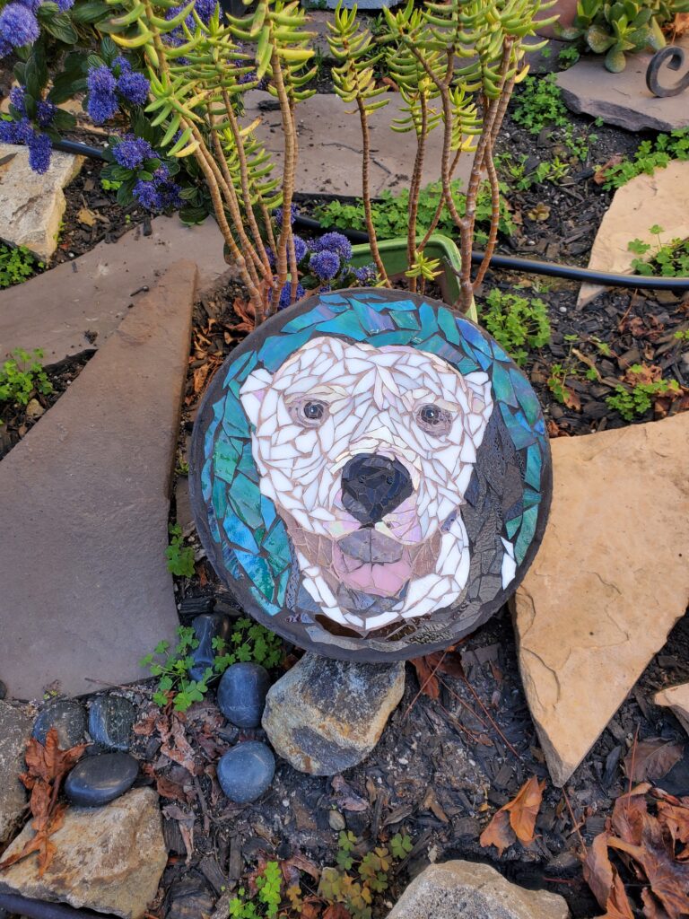 dogs