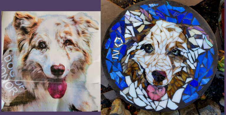 dogs
