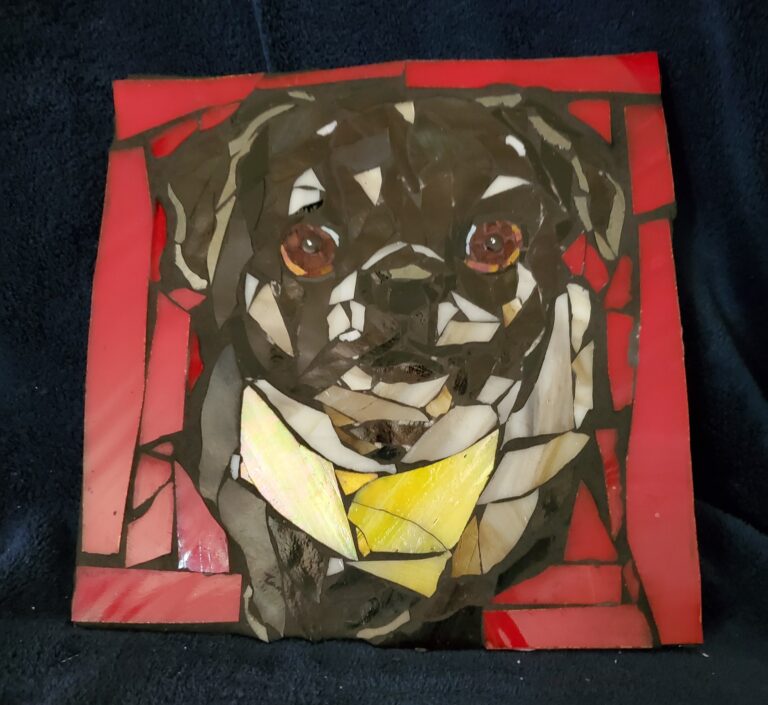 dogs