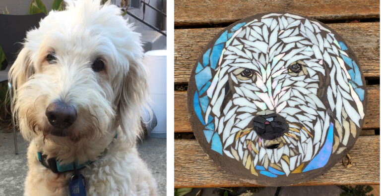 dogs