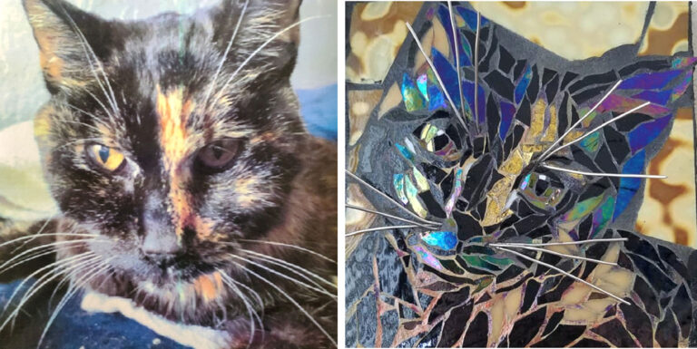 Cat mosaic