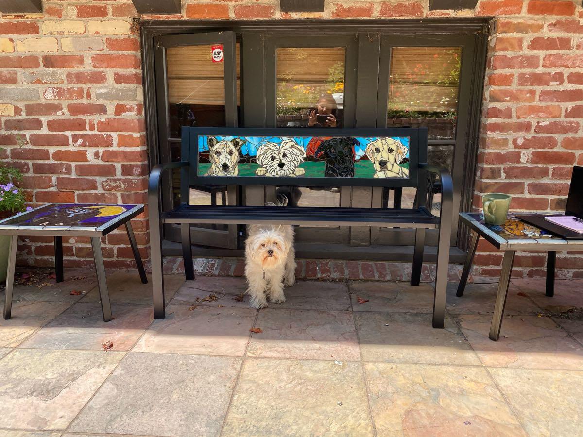 dog bench