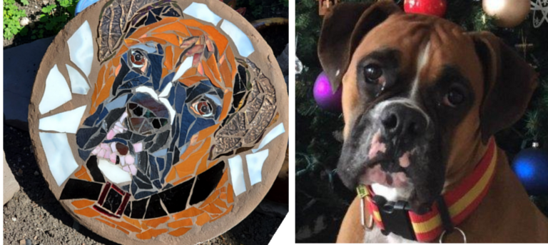 dogs
