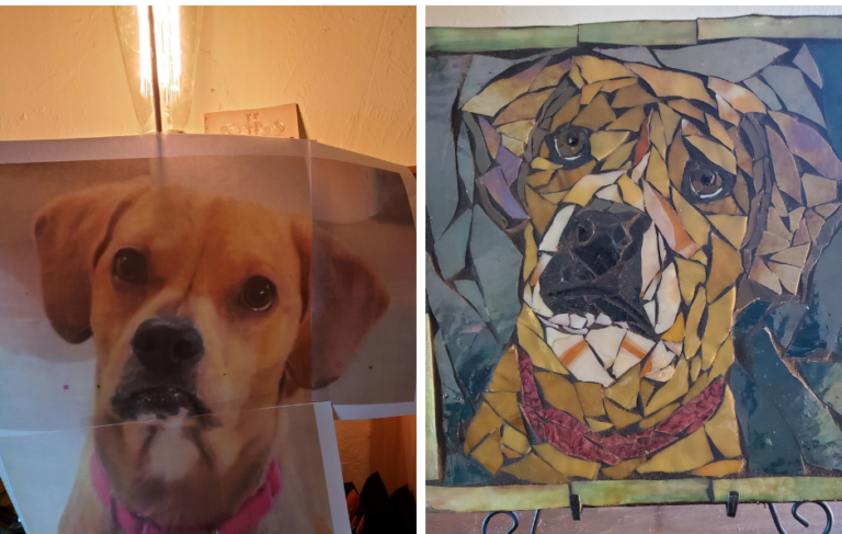 dogs