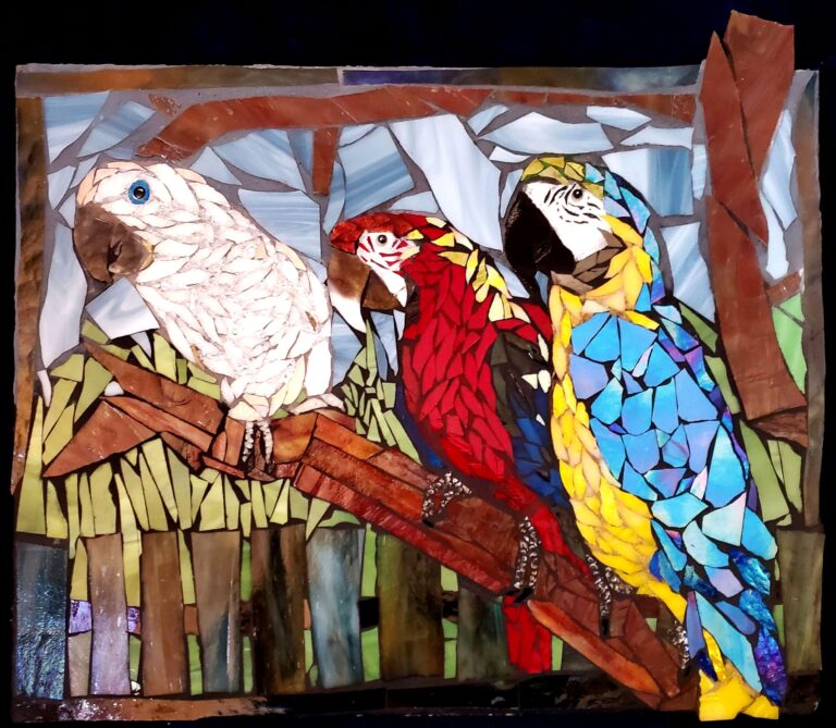 birds bright