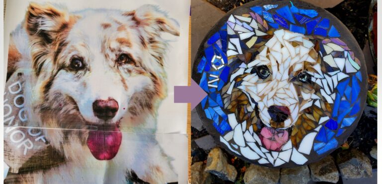 dog stepping stones