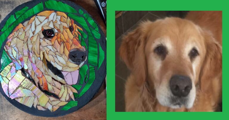 Mosaic steppingstone pet art