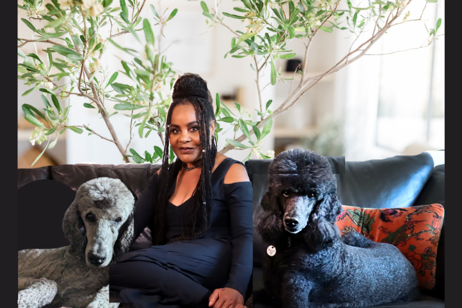 Alicia with Her Two Standard Poodles Alicia sitting on a black leather couch with her two standard poodles, one grey and one black, both looking at the camera, with modern artwork on the wall behind
